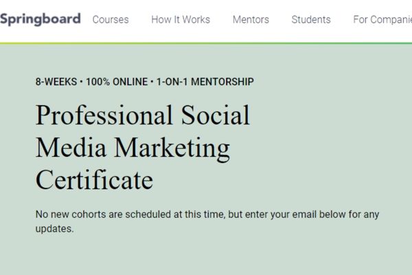 Professional Social Media Marketing Certificate by Springboard