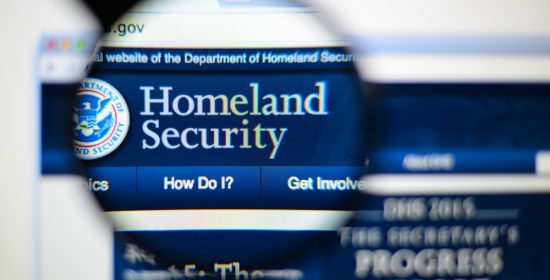 homeland security degree