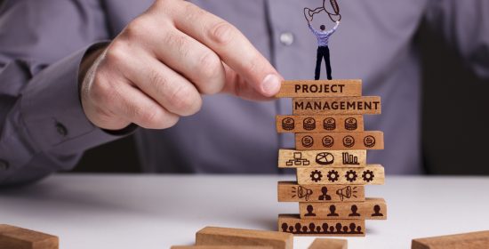 What is Project management
