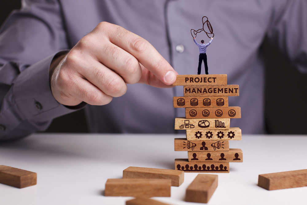 What is Project management
